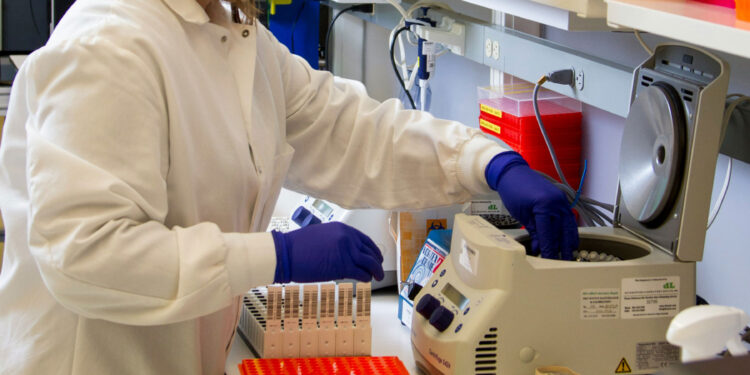 Separating blood for type 2 diabetes diagnosis